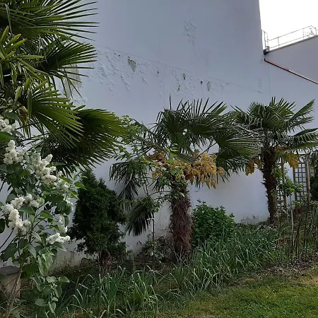 Apartment 3 Private Shared Flat In A At 600m Rer B Direct To Notre-dame Sceaux (Hauts-de-Seine)