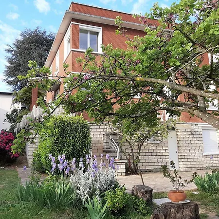 3 Private Shared Flat In A At 600m Rer B Direct To Notre-dame Apartment *