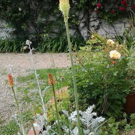 3 Private Shared Flat In A At 600m Rer B Direct To Notre-dame * Sceaux (Hauts-de-Seine)
